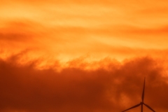 Best_Photos-160