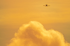 Best_Photos-164