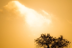 Best_Photos-165