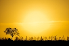 Best_Photos-167