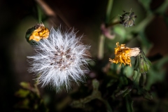 Best_Photos-168
