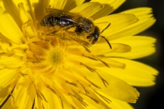 Best_Photos-169
