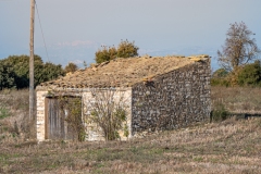 Best_Photos-171