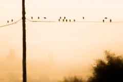 Best_Photos-172