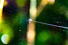 Best_Photos-173