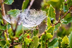 Best_Photos-174