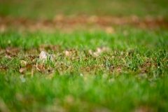 Best_Photos-177
