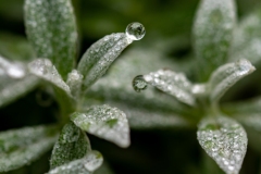 Best_Photos-178