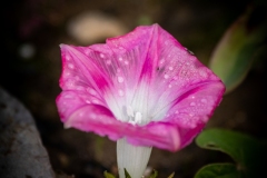Best_Photos-179