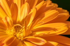 Best_Photos-180