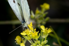 Best_Photos-183