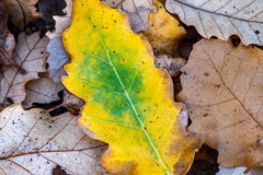 Best_Photos-189