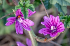Best_Photos-190