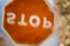 Best_Photos-191