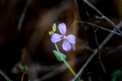 Best_Photos-193