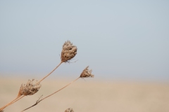 Best_Photos-200