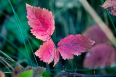 Best_Photos-203