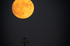 Best_Photos-205