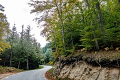 Best_Photos-209