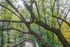 Best_Photos-210