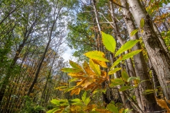 Best_Photos-211