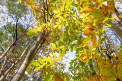 Best_Photos-212