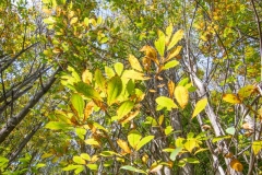 Best_Photos-213