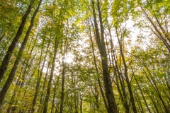 Best_Photos-214
