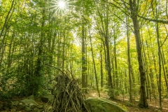 Best_Photos-215