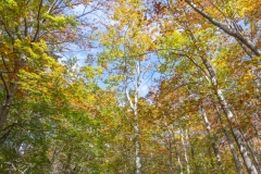 Best_Photos-216
