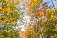 Best_Photos-217