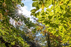 Best_Photos-218