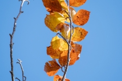 Best_Photos-219