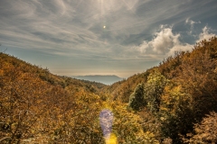 Best_Photos-223