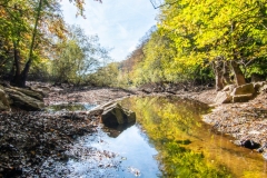 Best_Photos-224