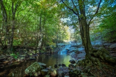Best_Photos-225