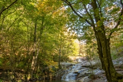 Best_Photos-226
