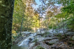 Best_Photos-227