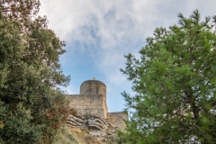 Best_Photos-238