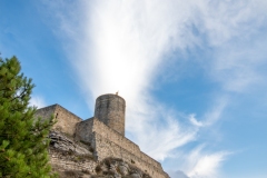 Best_Photos-239