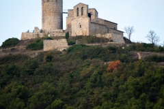Best_Photos-243