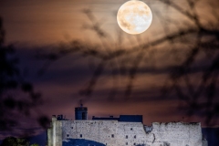 Best_Photos-247