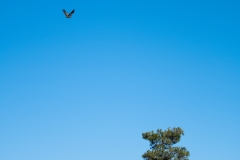 Best_Photos-251