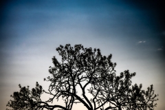 Best_Photos-258