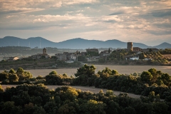 Best_Photos-263
