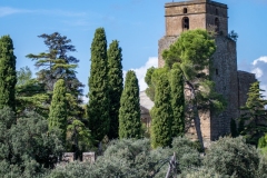 Best_Photos-265