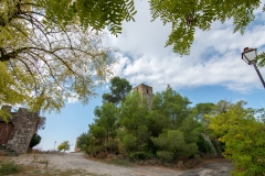 Best_Photos-267