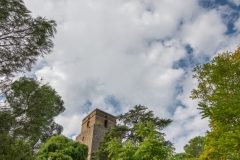 Best_Photos-268