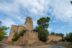 Best_Photos-275