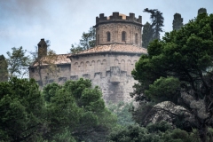 Best_Photos-276